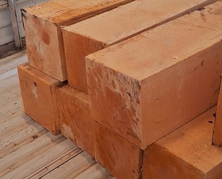 Mengenal Kayu Meranti Material Favorit Konstruksi Indonesia