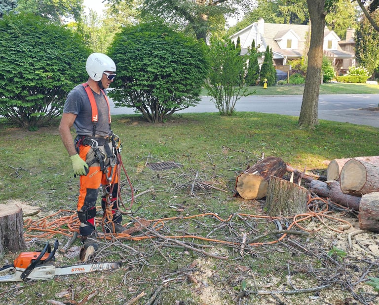 Professional arborist in safety gear standing by cut logs and a Stihl chainsaw after tree removal.