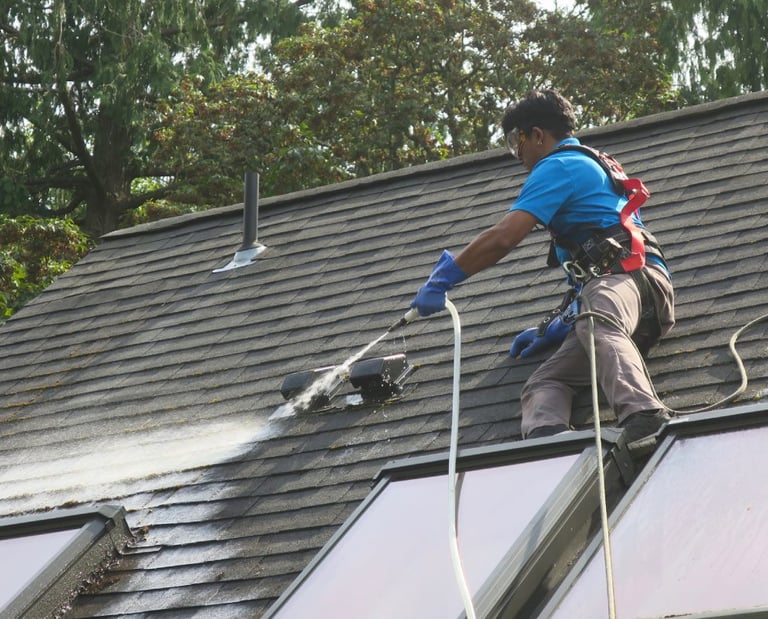Gutter cleaning service in Lakeland Florida that cleans roofs