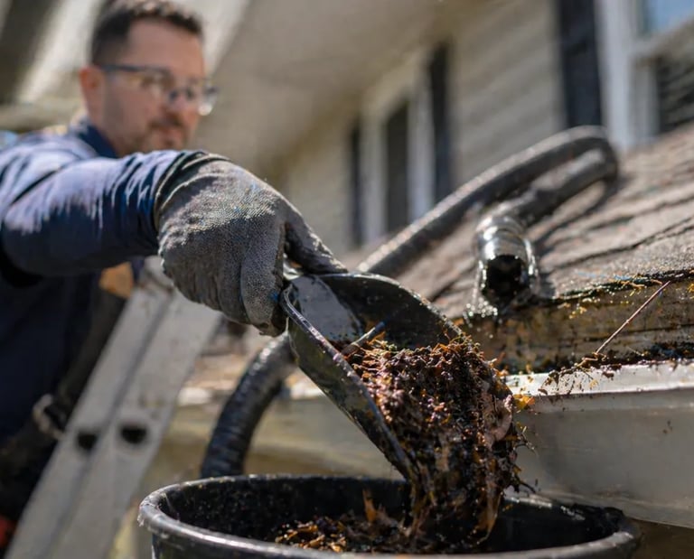 Gutter cleaning service Lakeland Florida removing debris