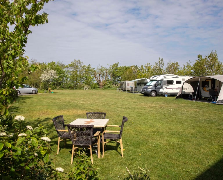 Camping Hoeve Rotterdam