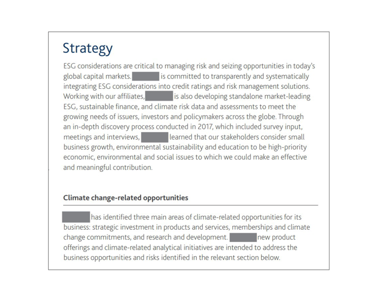 Excerpt of an ESG report, with references to the company name blocked out