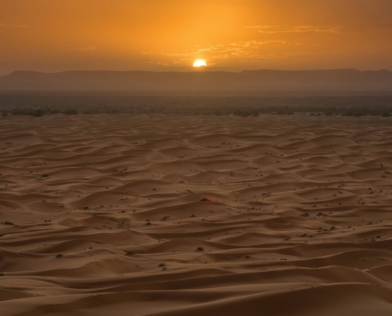 Sahara desert sunset in Morocco with golden dunes during a camel trekking experience