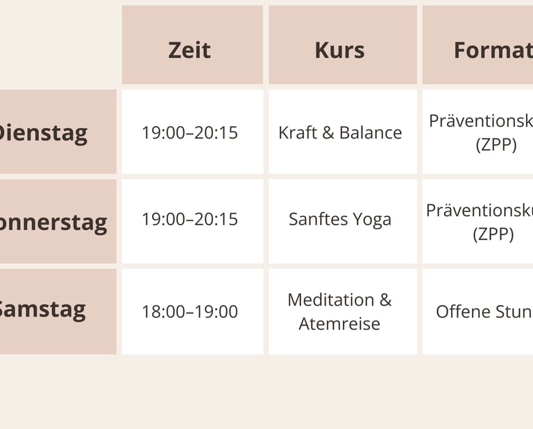 Online Kurs Plan