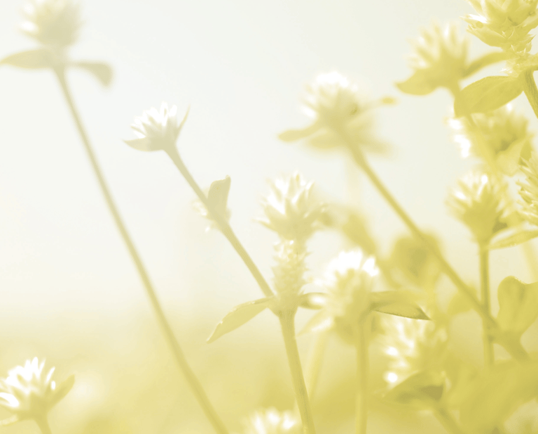 expert hands on acupuncture for cancer treatment side effects