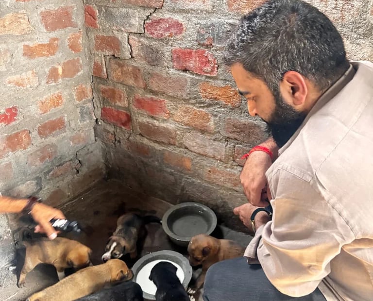 Vikash Sharma feeding stray puppies on the street during an animal welfare initiative