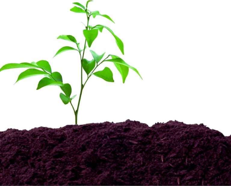 best organic gardening supplies