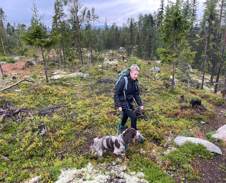 walking in the Norwegian forests walking up Klevarudnatten, Norway
