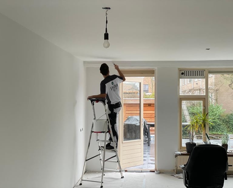 Calvin die het plafond heeft geschilderd 