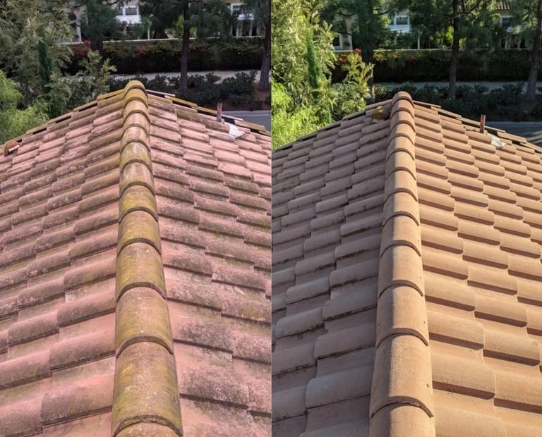 Roof soft wash cleaning service in Trinity FL