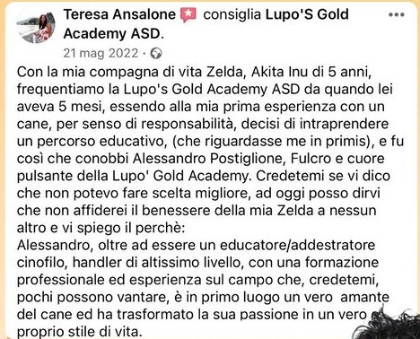 addestramento cane avellino