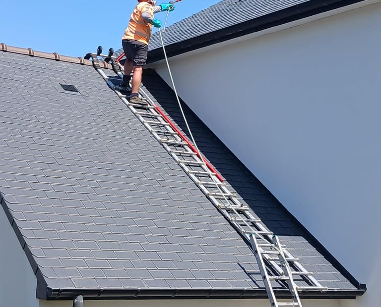 traitement antimousse toiture MONTFORT SUR MEU 35160
