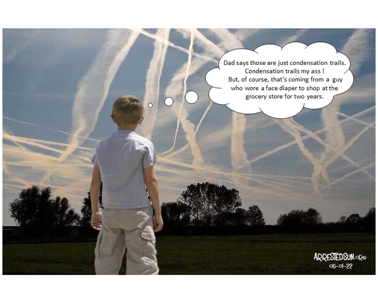 Arrested Sun Geoengineering Awareness Memes - Geoengineering Face Diaper