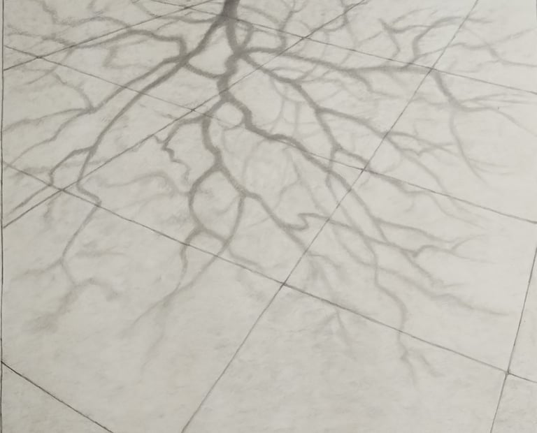 This is a graphite drawing representing winter tree shadows on a sidewalk