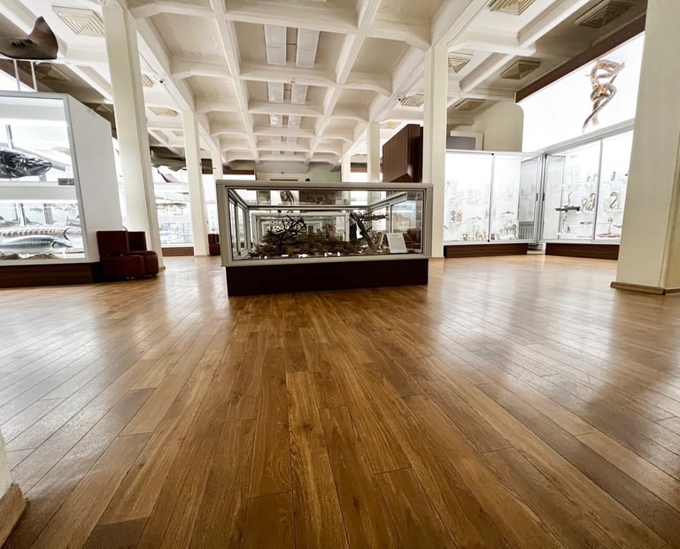 Kauno T.Ivanausko zoologijos muziejus