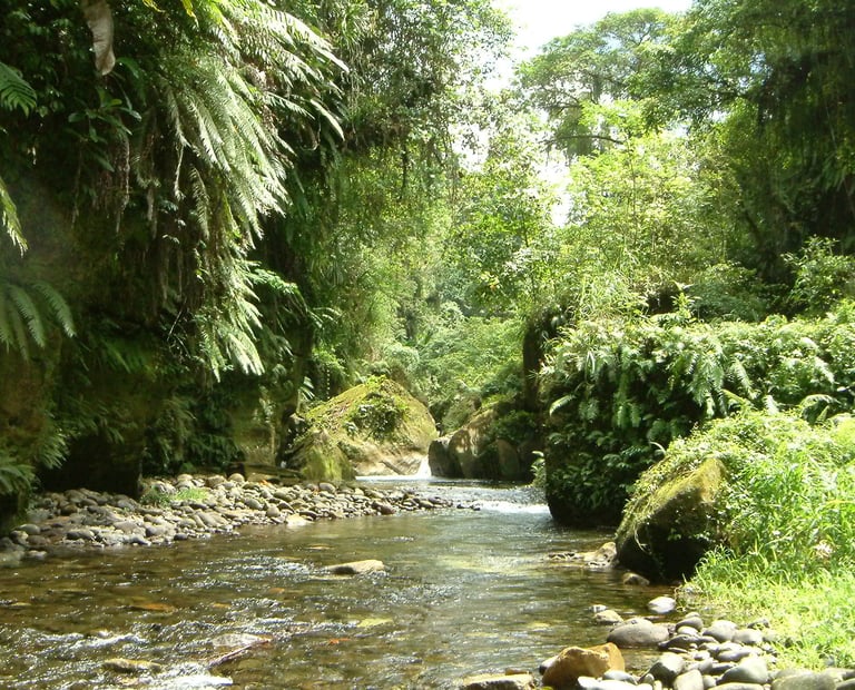 cave tour santo vanuatu