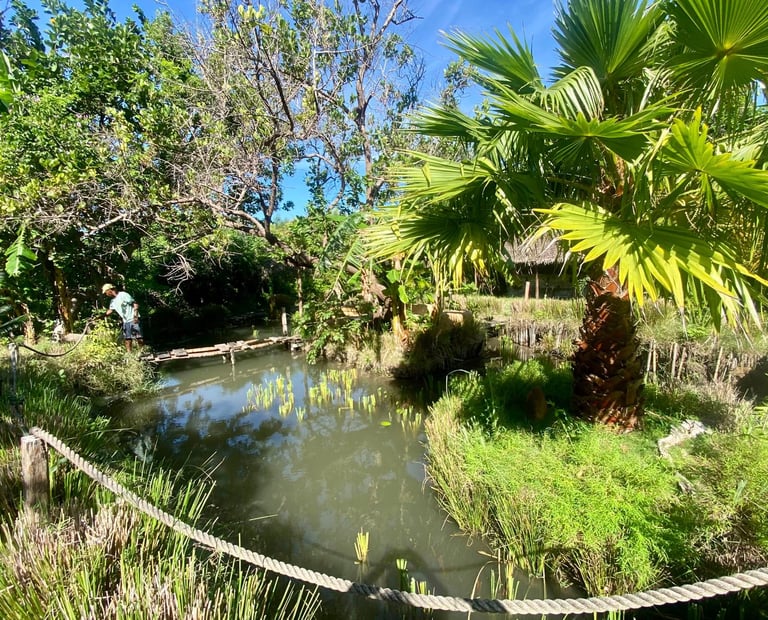 lac poissonneux