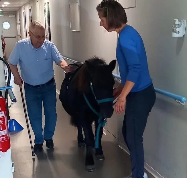 Cheval dans un Ephad avec homme âgé
