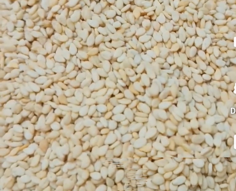 Biggest Sesame Seed Exporters in Pakistan