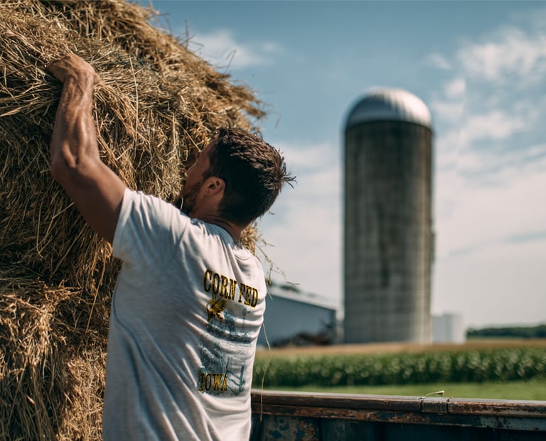 A farmer stacking dry hay bales onto a truck near a farm silo in a sunny rural field.