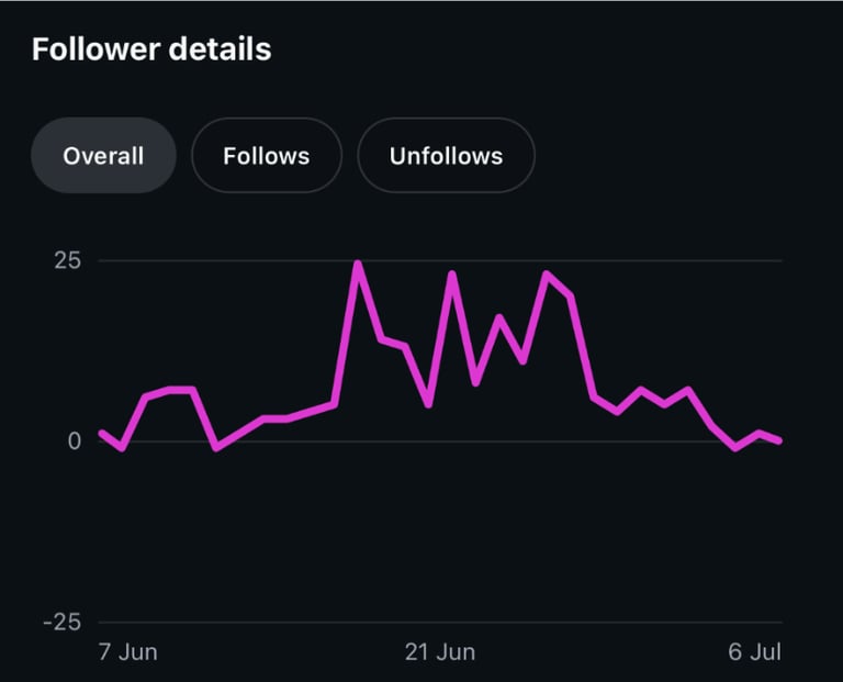 June to July Instagram follower growth chart