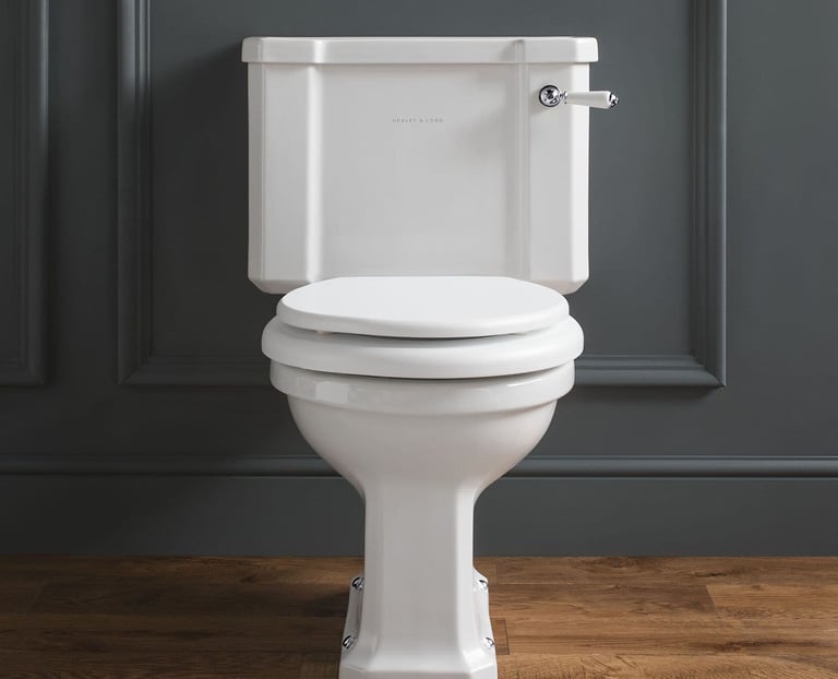 Toilet repair in Umberleigh