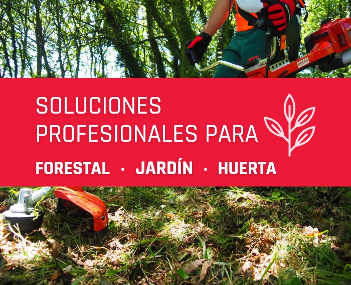SOLUCION PROFESIONAL MONTEAGRIAUTO.MONTEJICAR