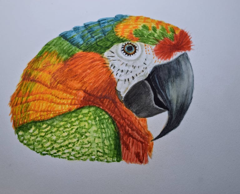 watercolor painting of a colorful parrot