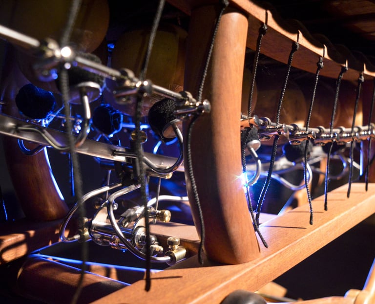 Gros plan sur le balafon à pédale X-Bala