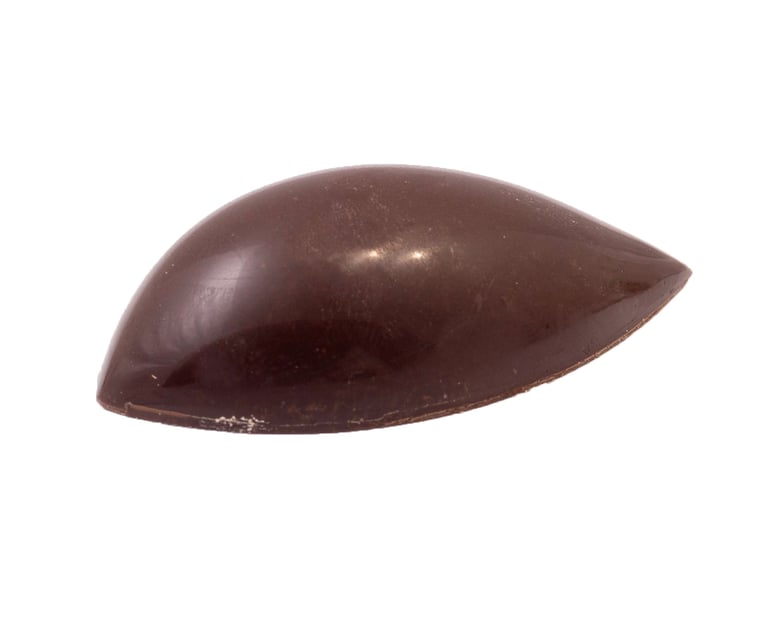 Passievrucht mango praline