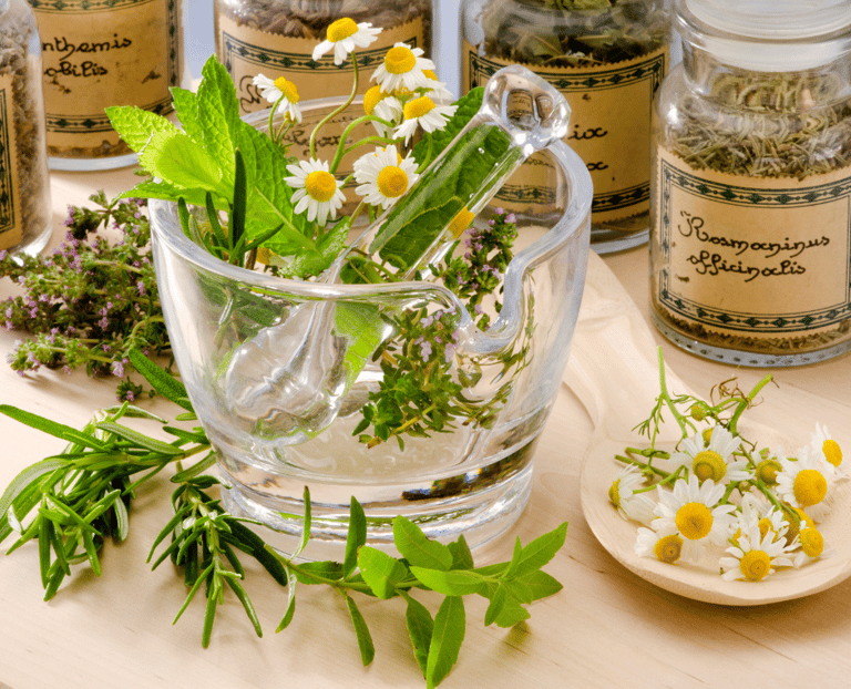 Photo of botanicals