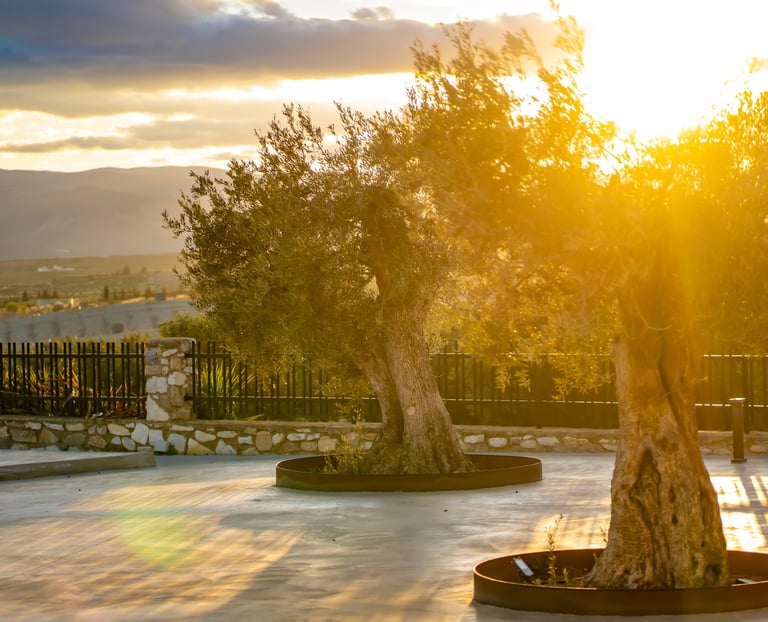 Country State for Weddings in Almeria, Andalusia