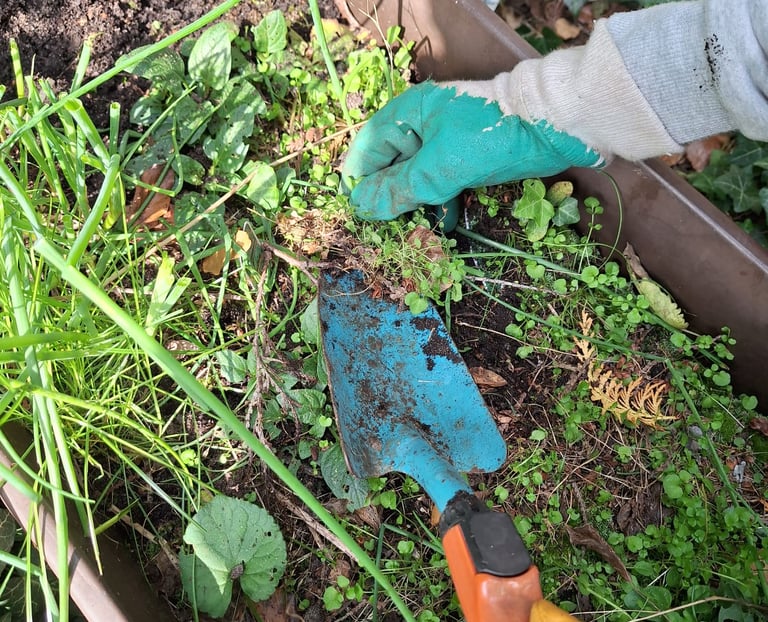 a person is diging up plants with a showel