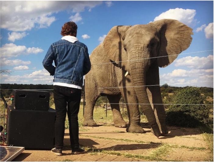 Franco Schoeman with elephant 