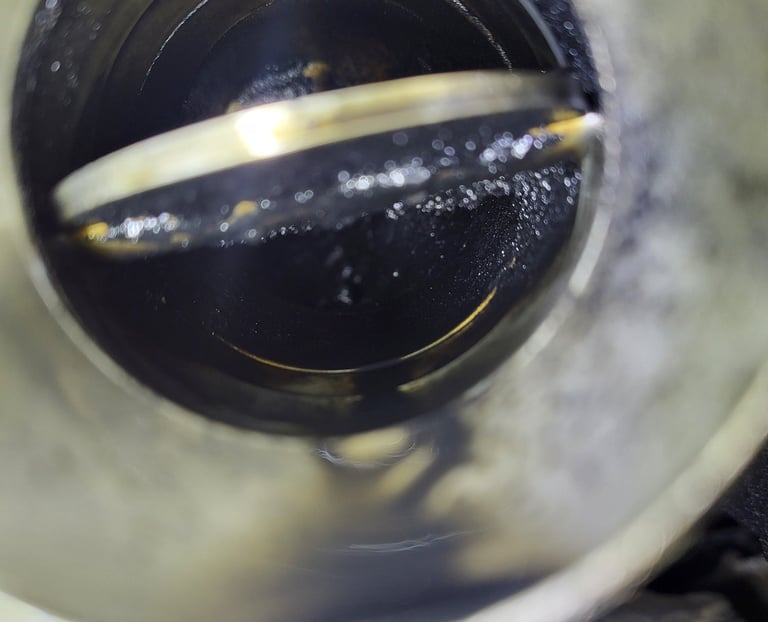 dekarbonizacija na usis / usisna klapna so garez i masni naslagi