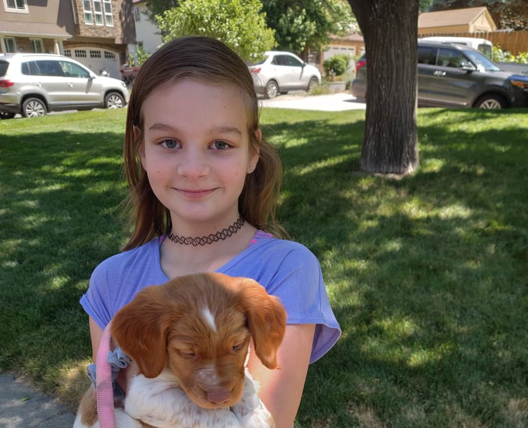 girl holding puppy dog in West Jordan Utah
