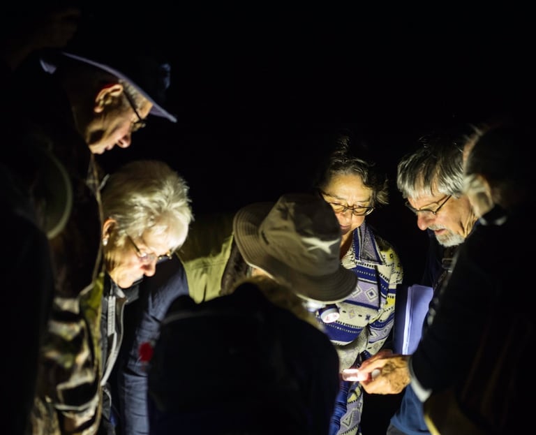 Identifying moths