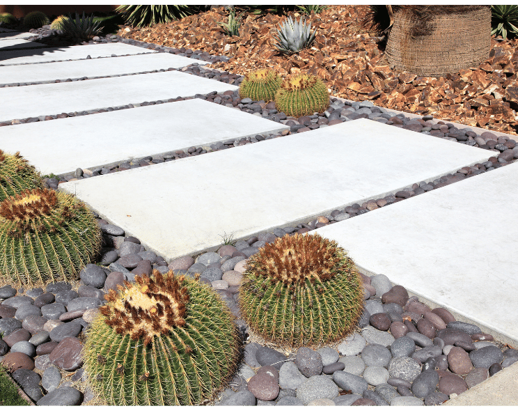 Xeriscaping for curb appeal