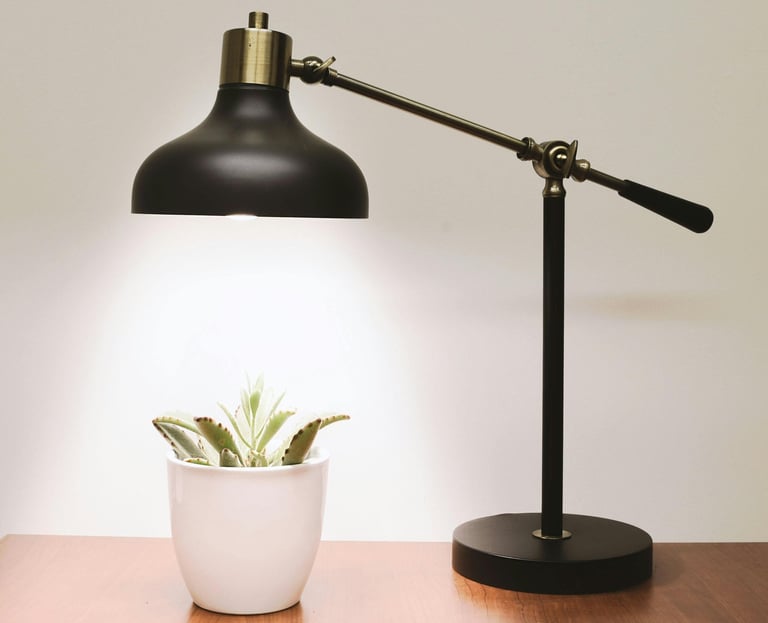 Desk lamp converted into a grow lamp