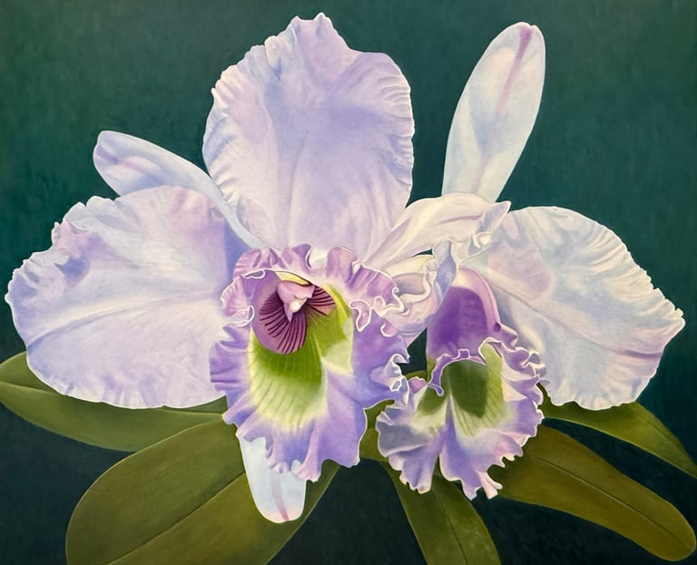 Chritine Knize, Double Cattleya Orchid, Monumental Botanical Realism