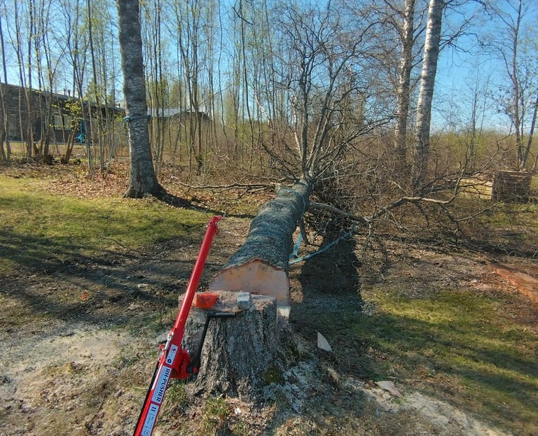 pihapuunkaato varkaus