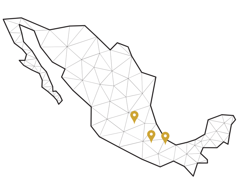 a map of mexico with pinpoint pinpoint pinstripe pinstripe