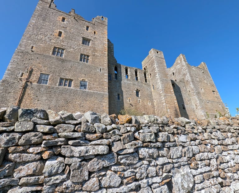 large castle surroung by stone wall.