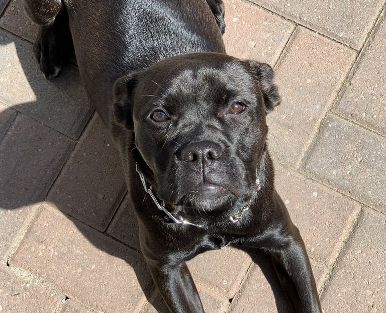 Here's another one LOL