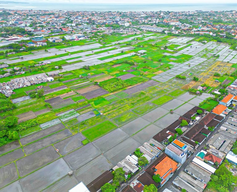 Villa Sattara Seminyak is Surrounded by rice fields
