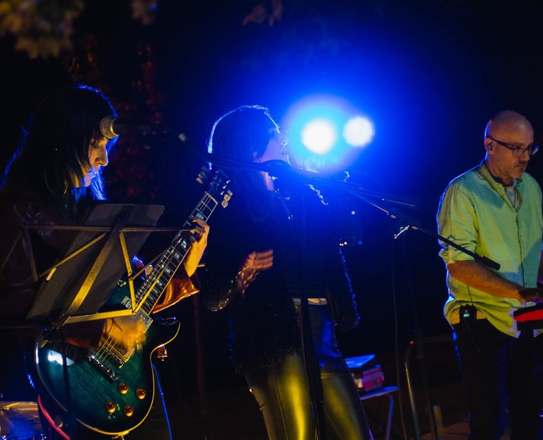 Mistral Música en vivo para bodas y eventos, banda profesional animando celebraciones