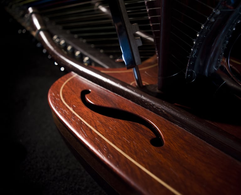 Close-up of the soundboard of the "Jazzy-Kora" pedal chromatic kora