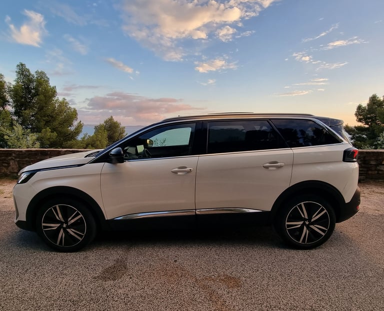 Private Driver 6 people