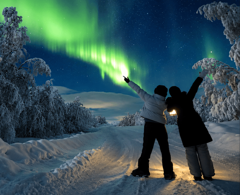 Magical Northern Lights dancing across the Arctic sky above a snowy forest landscape near Rovaniemi.