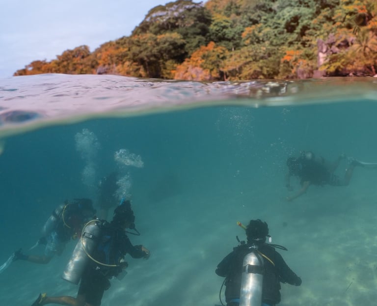 instructor development el nido philippines